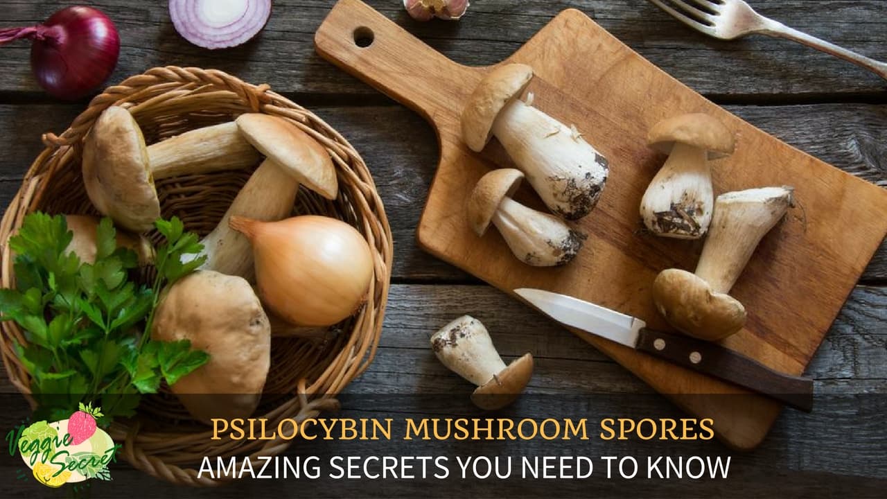 The Amazing Secrets of Psilocybin Mushroom Spores